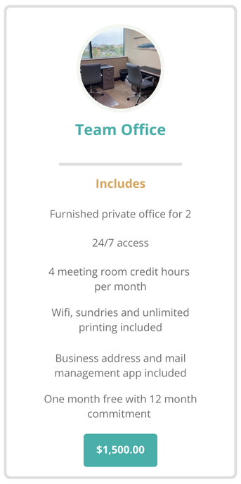 Virtual Office Destin Package One